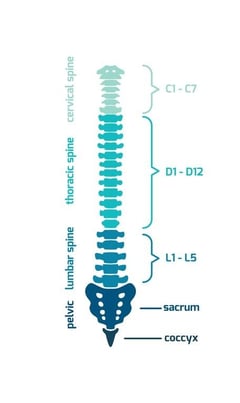 Framingham Chiropractor Blog, Upper & Lower Back Pain Relief